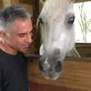 Aaron Nickamin - @aaron.nickamin - TikTok