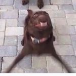 Aaron Ammons - @aaron.ammons - Instagram