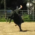 Aaron Amon - @aaronamon33 - Instagram