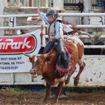 Aaron Amon - @bull_hand363 - Instagram