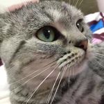 Amon - @aaron_amon - Instagram