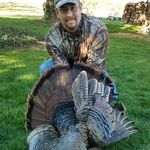 Aaron Amstutz - @docamsti - Instagram