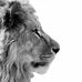 Anderberg Aaron - Facebook