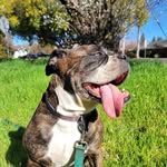Aaron Andrus - @aaronandrus79 - Instagram