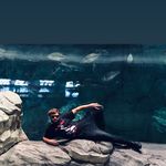 Aaron Ansell - @tickle_me_loris - Instagram