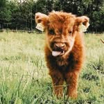 Aaron Applegate - @applegate_aaron - Instagram