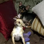 Aaron Armstrong - @aaron.armstrong.52643 - Instagram