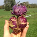 Aaron Armstrong - @bluewheelbarrow - Instagram
