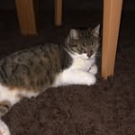 Aaron Arndt - @arndt8822 - Instagram