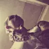 Aaron Arnott576 - @arnyboyy187 - TikTok