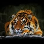 Aaron Ashby - @ashby1553 - Instagram