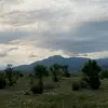 aaronwatchley - @awatchley - TikTok