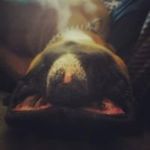 aaron atwood - @skillet_wood - Instagram
