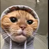 aaronaulsebrook - @aaron.aulsebrook - TikTok