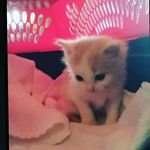 Aaron Ayers - @aaron.ayers.980 - Instagram