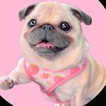 Aaron Ayres - @bestiebazzer - Instagram