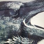 Mark Aaron Babbitt - @politicalcommentarypage - Instagram