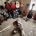 @aaronbachata - Instagram