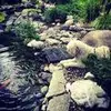 Aaron Bachman - @aaronbachman - TikTok