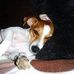 Bigarms Orwin - Facebook