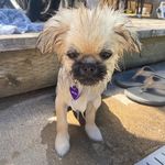 Aaron Baer - @slyness - Instagram