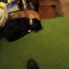 Aaron Baer - @aaron.baer0 - TikTok