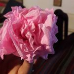 Aaron Baez - @aaronbaez60 - Instagram