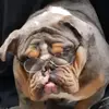 aaronbaier393 - @aaronbaier393 - TikTok