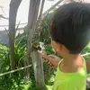 aaronbaila - @aaronbaila - TikTok