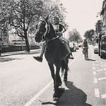Aaron Balfe - @balfe_aaron426 - Instagram