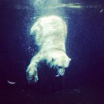 Aaron Ballesteros - @llluminate - Instagram