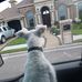 Aaron Balli - Facebook