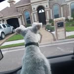 Aaron Balli - @balliaaron - Instagram