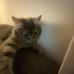 Aaron Billiet - Facebook