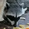 Aaron Barron - @aaron.barron08 - TikTok