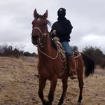 Aaron Barron - @barronaaron017 - Instagram