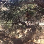 Aaron Baugh - @aaron_baugh - Instagram