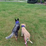 Aaron Baumler - @abaumler23 - Instagram