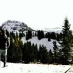 Aaron Baylis - @aaronbaylis - Instagram