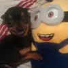 Bazinga_Aaron - @bazinga_aaron - TikTok