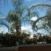aaron gray - @aaronbeach - TikTok
