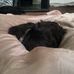 Aaron Beardmore - Facebook