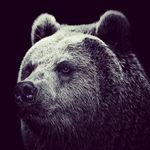 Aaron Beardmore - @big_bear256 - Instagram