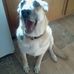 Aaron Beardmore - Facebook