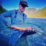 Aaron Beardmore - @aaron.beardmore - Instagram