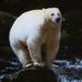 Aaron Beare - Facebook