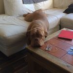 Aaron Beaton - @beatonaaron - Instagram
