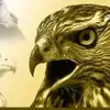 Aaron Beaty - @aaronbeaty_3847 - TikTok