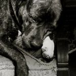Aaron Beaudoin - @acbaron - Instagram