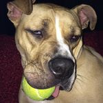 @aaronbebeau - Instagram